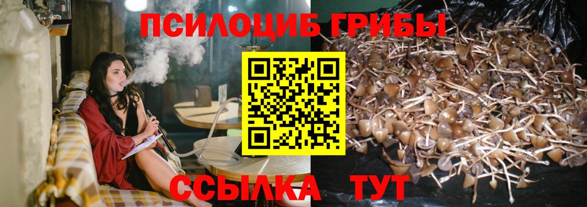 Лабинск  Псилоцибиновые грибы GOLDEN TEACHER  Вход с VPN  Псилоцибиновые грибы ЛСД 